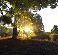 Clarendon Forest Retreat
