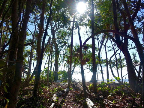 Coconut Beach House - Kalgoorlie Accommodation 2