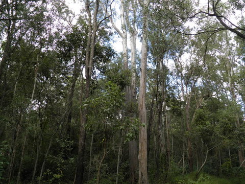 Coucals Cottage - Kalgoorlie Accommodation 3