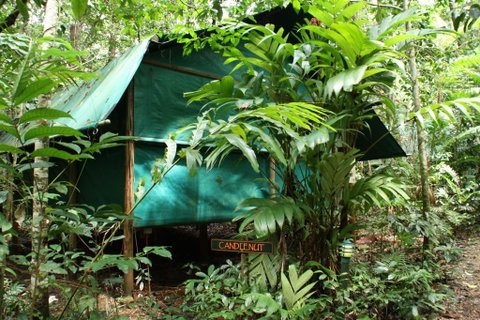 Daintree Crocodylus - Kalgoorlie Accommodation 0
