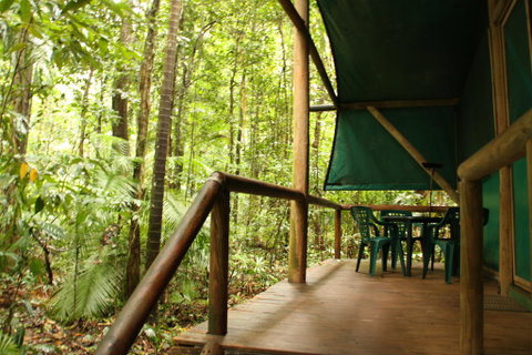 Daintree Crocodylus - Kalgoorlie Accommodation 1