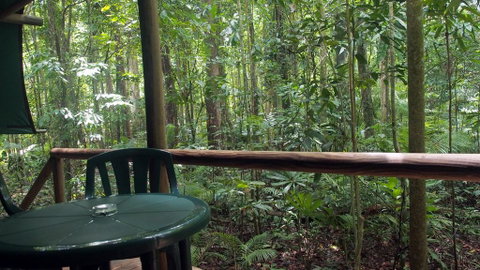 Daintree Crocodylus - Kalgoorlie Accommodation 2