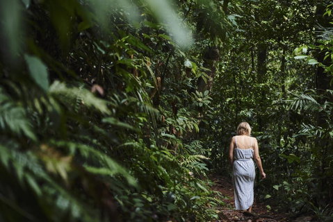 Daintree Ecolodge - Kalgoorlie Accommodation 2