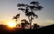 Daintree Holiday Homes - Yurara - thumb 0