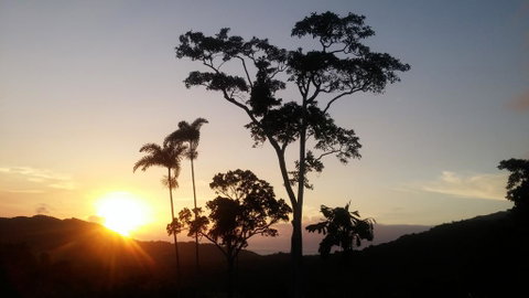 Daintree Holiday Homes - Yurara - Kalgoorlie Accommodation 0