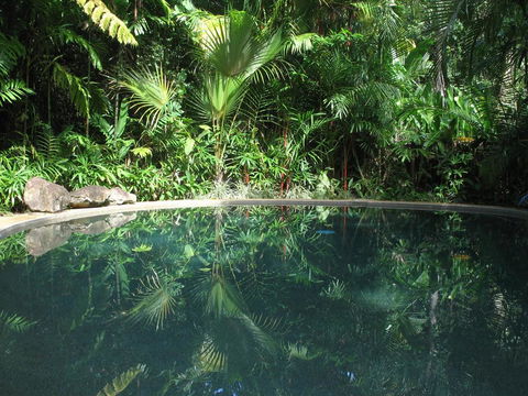 Daintree Rainforest Retreat Motel - Kalgoorlie Accommodation 0