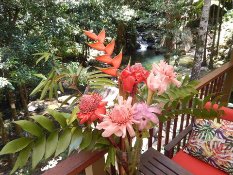 Daintree Secrets Rainforest Sanctuary - Kalgoorlie Accommodation 1