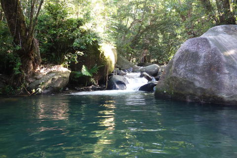 Daintree Secrets Rainforest Sanctuary - Kalgoorlie Accommodation 0