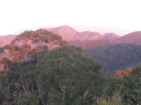 Day Dream Cottage - Kalgoorlie Accommodation 2