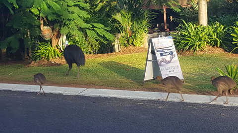 Driftwood Bed And Breakfast - Kalgoorlie Accommodation 1