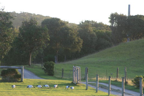 Driftwood Villas - Kalgoorlie Accommodation 1