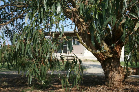 Driftwood Villas - Kalgoorlie Accommodation 3