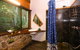 Epiphyte B & B - thumb 1