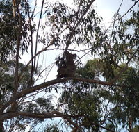 Escape to the Country - Enjoy the firepit or explore magical Bunya Mountains - Kalgoorlie Accommodation