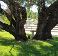 Farm Stay Studio - Kalgoorlie Accommodation