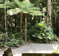 Forest Views Daintree - Kalgoorlie Accommodation