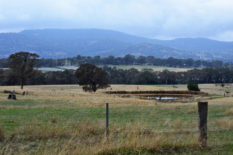 Friends In Harcourt North - Kalgoorlie Accommodation 2