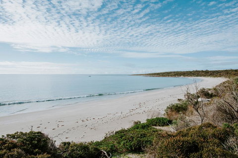 Glamping @ September Beach, Lincoln National Park - Kalgoorlie Accommodation 2