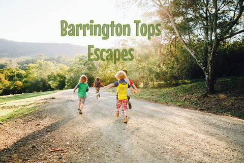 Grand View Holiday Home - Kalgoorlie Accommodation 2