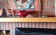 Grindelwald Lodge And Gardens - thumb 3