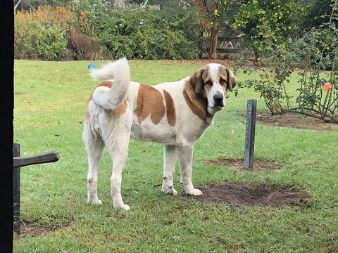 Gzone Farmstay - Kalgoorlie Accommodation 1