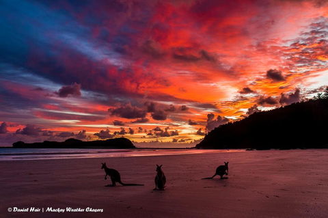 Heather's Mica Cottage - Kalgoorlie Accommodation 0