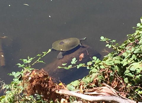 Lakeside Suites - Kalgoorlie Accommodation 2