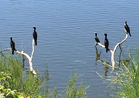 Lakeside Suites - Kalgoorlie Accommodation 3