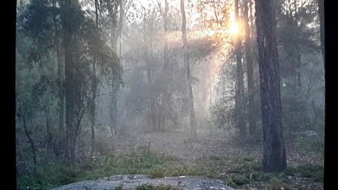 Lucky Mountain Cottage - Kalgoorlie Accommodation 1