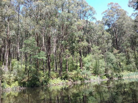 Lyrebird Gully Retreat - Kalgoorlie Accommodation 2