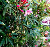 Mercury motor inn - Kalgoorlie Accommodation
