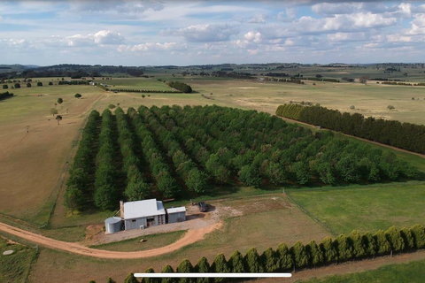 Millthorpe Truffles - Gorgeous Getaway For 2 - Kalgoorlie Accommodation 0