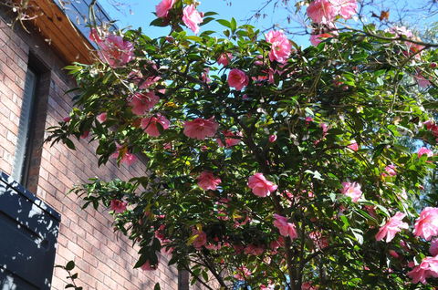 Mountain Gate Villa - Kalgoorlie Accommodation 1