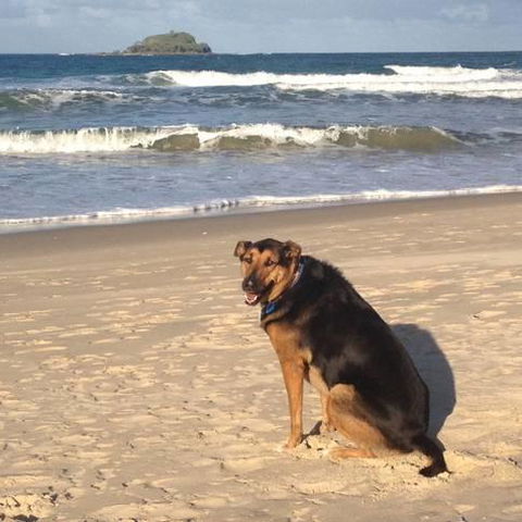 Mudjimba Esplanade Villa - Kalgoorlie Accommodation 3