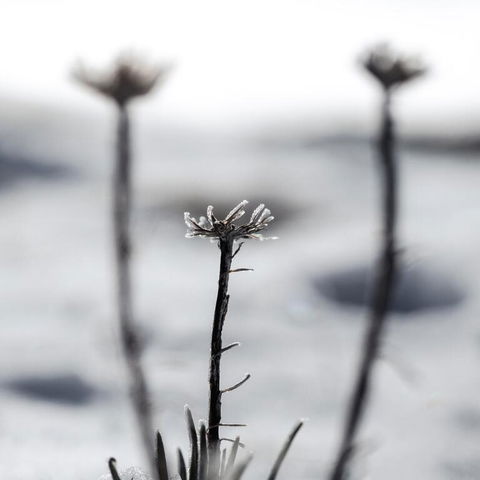 Nanook Thredbo - Kalgoorlie Accommodation 3