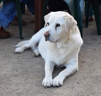 Nazaaray Beach House