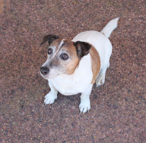 Jacaranda Hideaway Bed & Breakfast - Kalgoorlie Accommodation 13