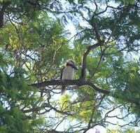 Jacaranda Hideaway Bed  Breakfast - Kalgoorlie Accommodation
