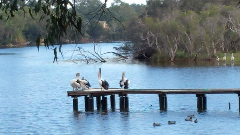 Jacaranda Hideaway Bed & Breakfast - Kalgoorlie Accommodation 18