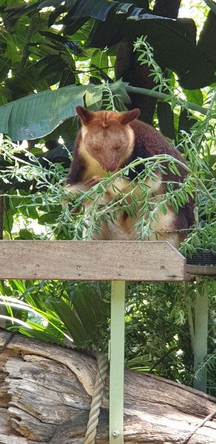 High Tor - Kalgoorlie Accommodation 30