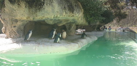 High Tor - Kalgoorlie Accommodation 33