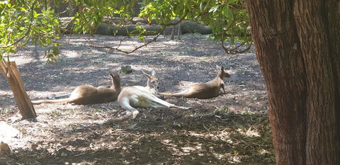 High Tor - Kalgoorlie Accommodation 31