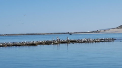 Kalbarri Seaview Villas - Kalgoorlie Accommodation 33