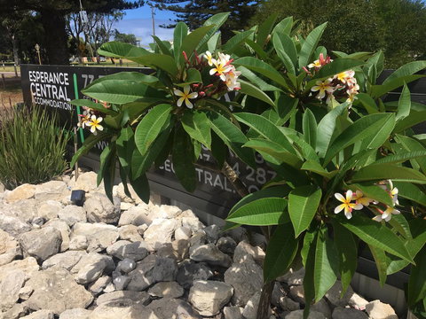 Esperance Central Accommodation - Kalgoorlie Accommodation 3