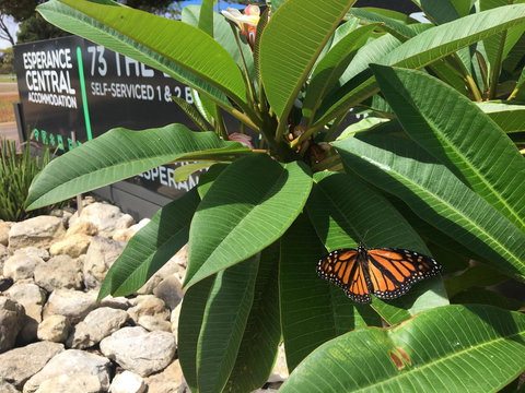 Esperance Central Accommodation - Kalgoorlie Accommodation 9