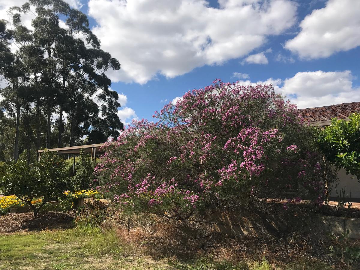 Aubin Grove WA Kalgoorlie Accommodation