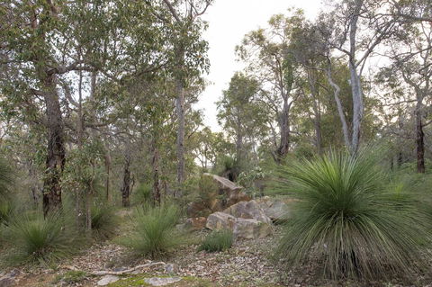 A Hidden Bush Delight - Kalgoorlie Accommodation 23