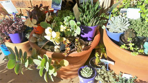 Quest Yelverton Kalgoorlie - Kalgoorlie Accommodation 11