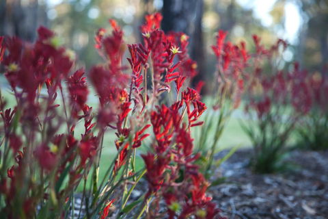 Amaroo Retreat & Spa - Kalgoorlie Accommodation 16