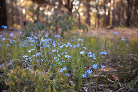 Amaroo Retreat & Spa - Kalgoorlie Accommodation 15